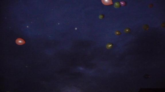EnvoLune 2010 wallpaper 45